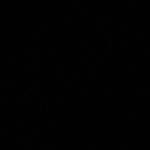 Meet your Posher, Jonae